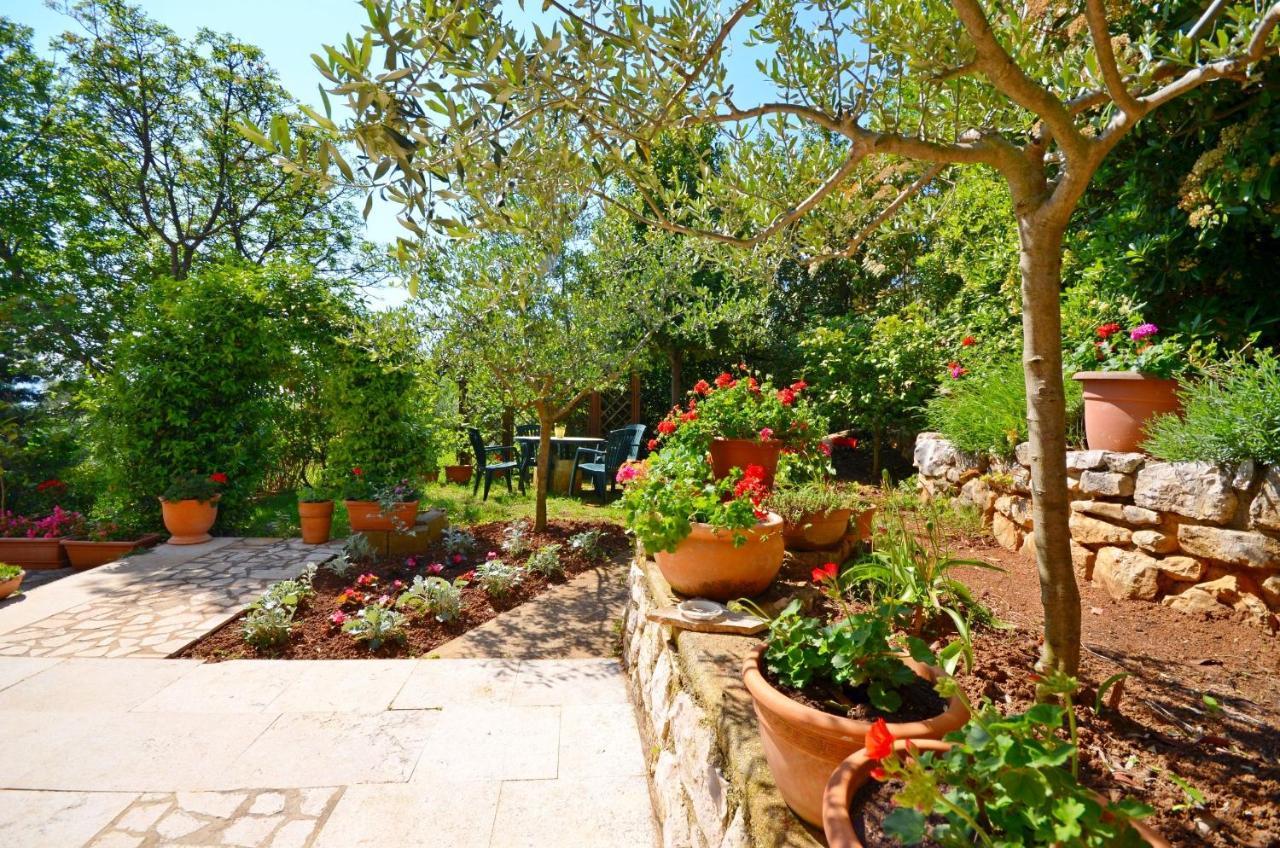 Apartment Andreas Ravni Εξωτερικό φωτογραφία